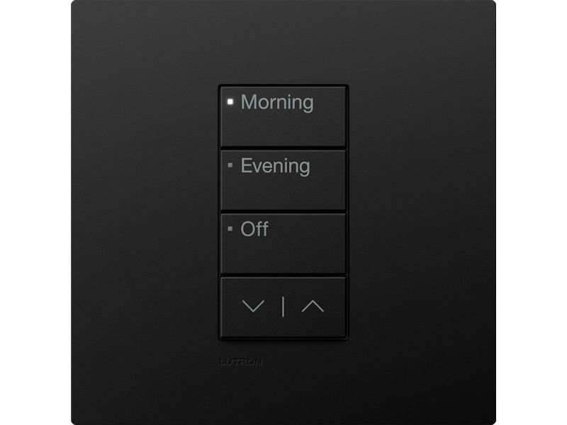 LUTRON RA3 3 Button Time Of Day BLACK