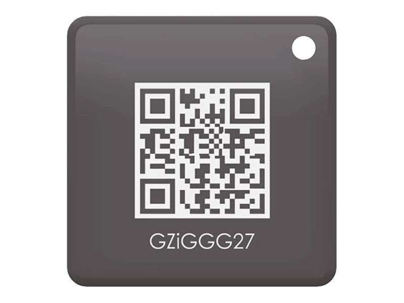(2) MAXXONE Kite Wireless RFID Tag