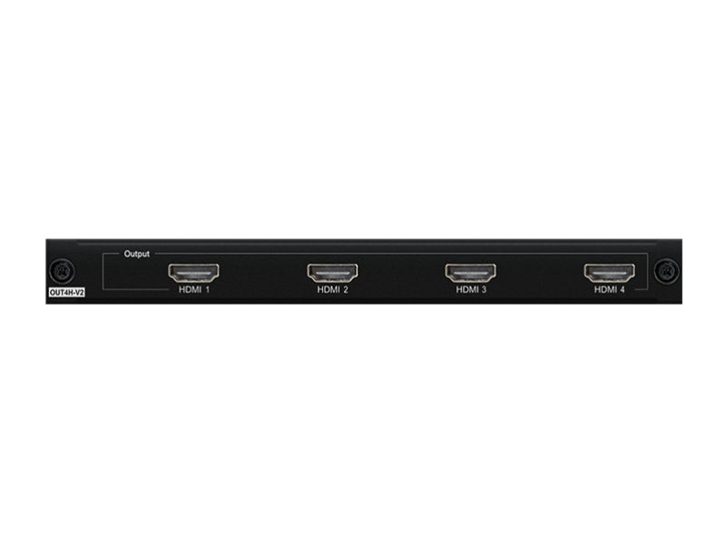 BLUSTREAM Custom Pro 4 HDMI2.0 Output