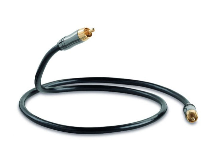 6m QED Performance RCA Sub Lead BLACK
